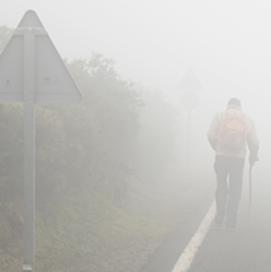 person walking along foggy road using a cane in his right hand